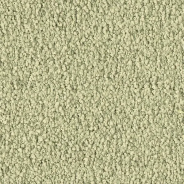 Vorwerk Violetta 8L38 – Draufsicht Teppichboden Farbe 8L38 ohne Badge